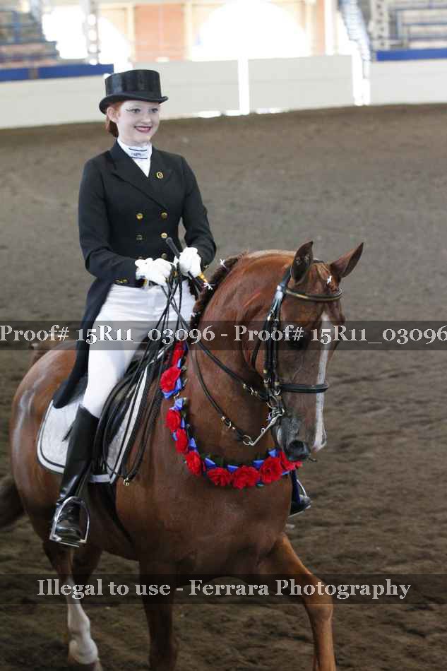 Proof 15R11_03096