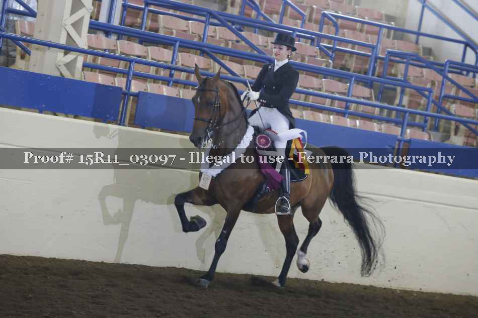 Proof 15R11_03097