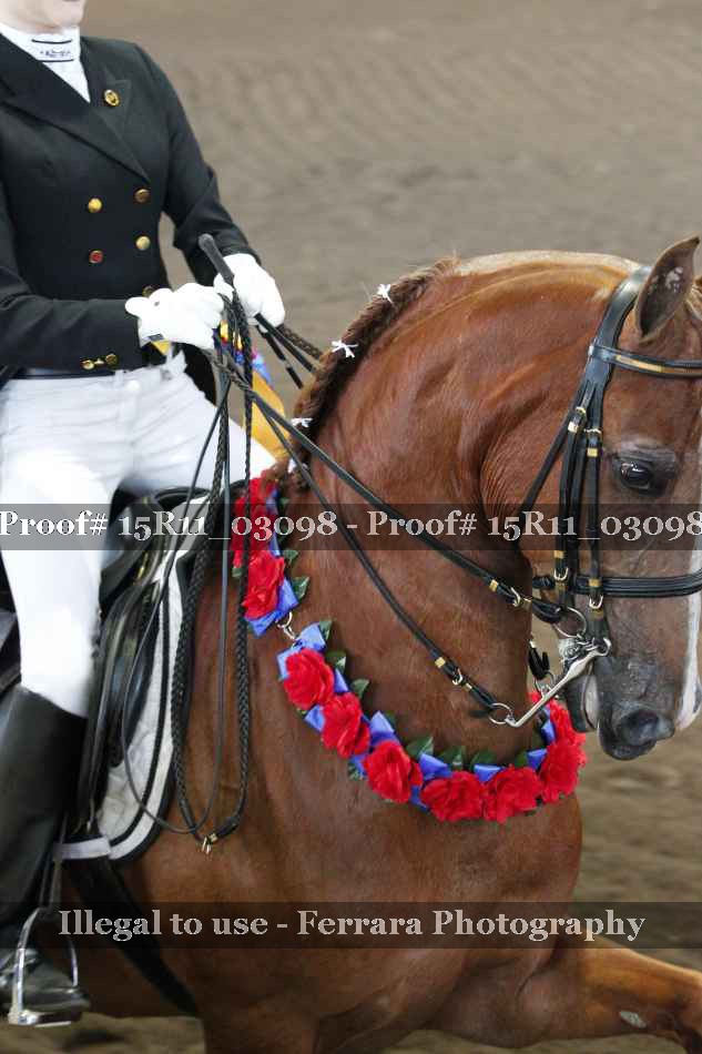 Proof 15R11_03098