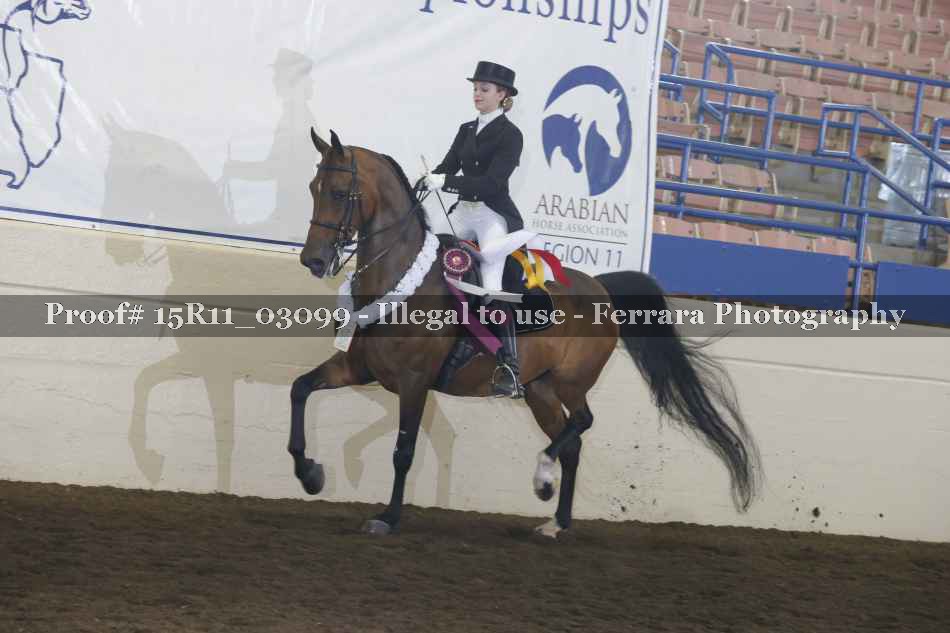 Proof 15R11_03099