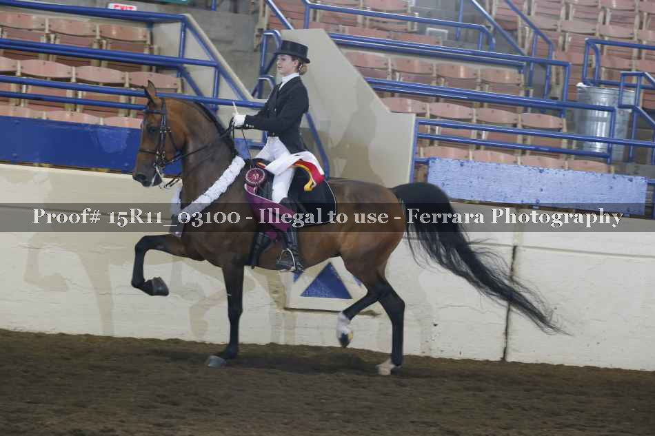 Proof 15R11_03100