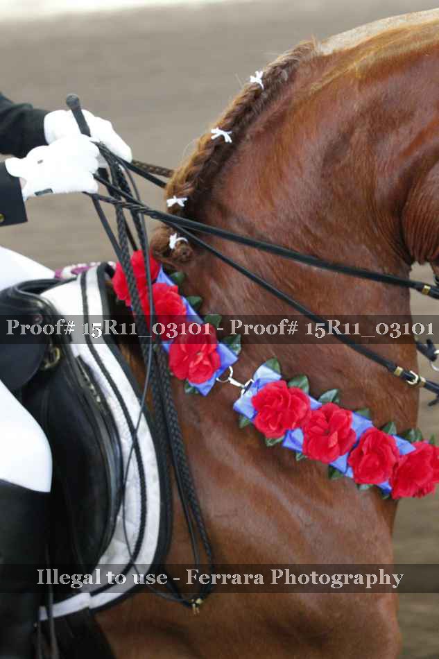 Proof 15R11_03101