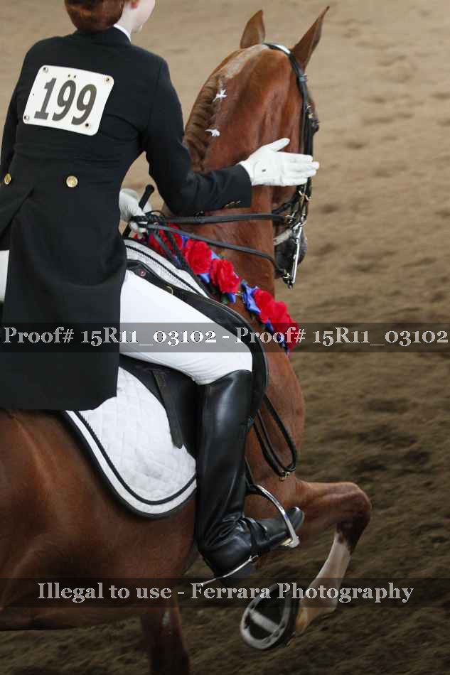 Proof 15R11_03102