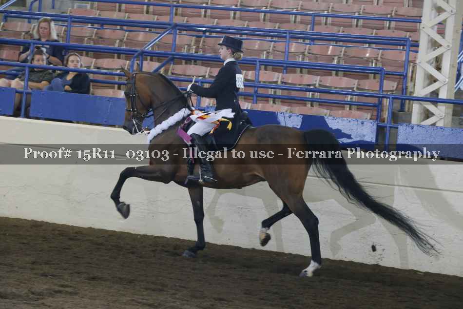 Proof 15R11_03103