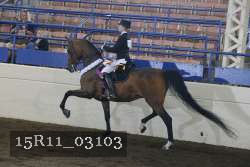 15R11_03103 proof