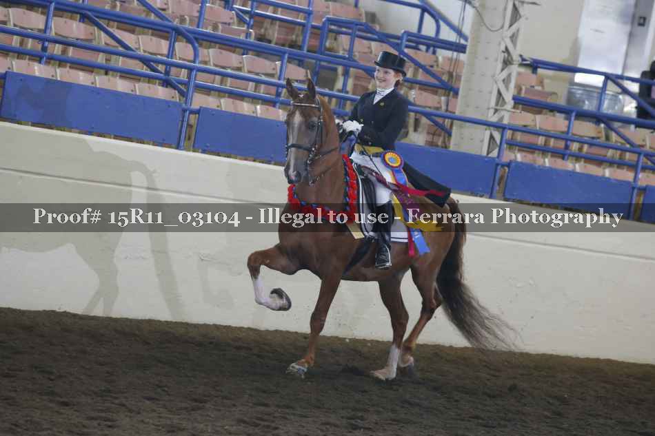 Proof 15R11_03104