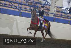 15R11_03104 proof