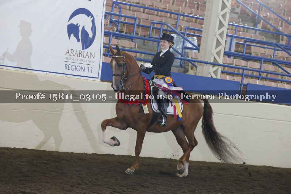 Proof 15R11_03105