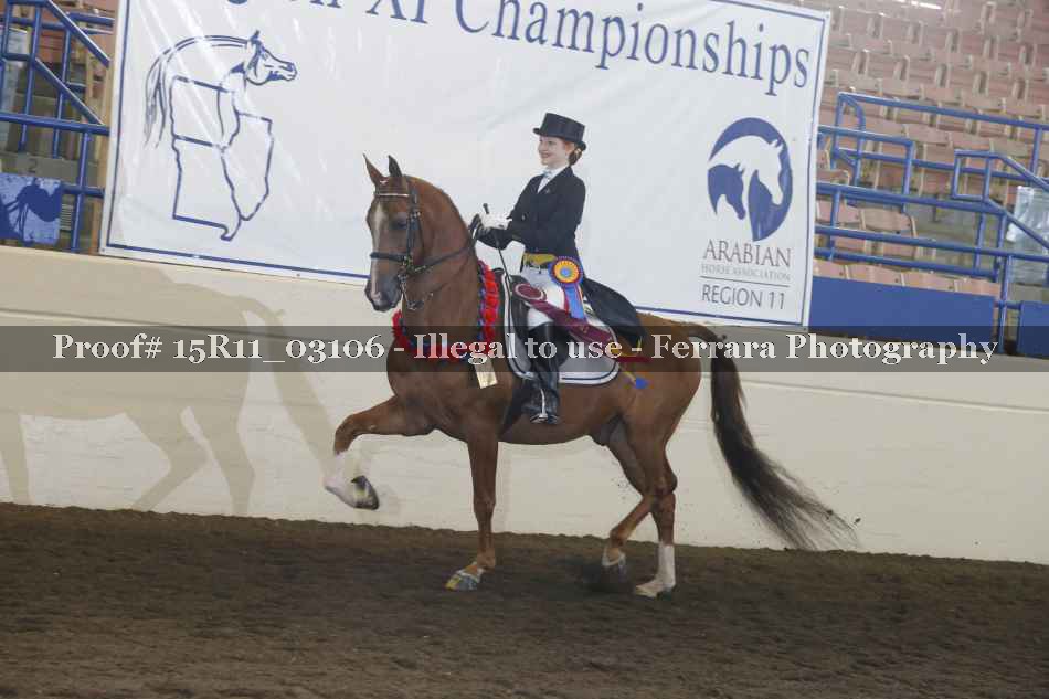 Proof 15R11_03106