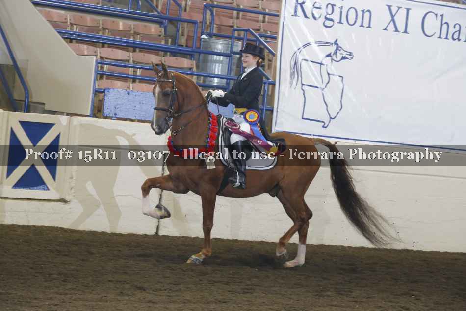 Proof 15R11_03107