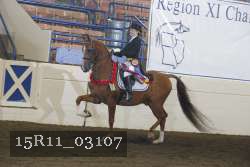 15R11_03107 proof