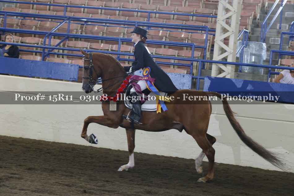 Proof 15R11_03108