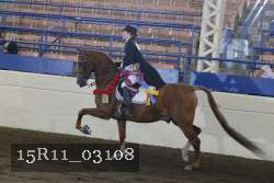 15R11_03108 proof
