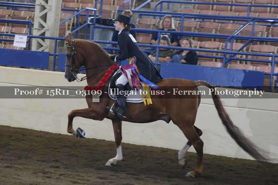 Proof 15R11_03109