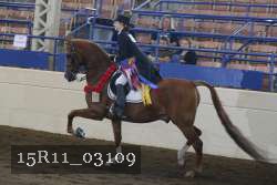 15R11_03109 proof