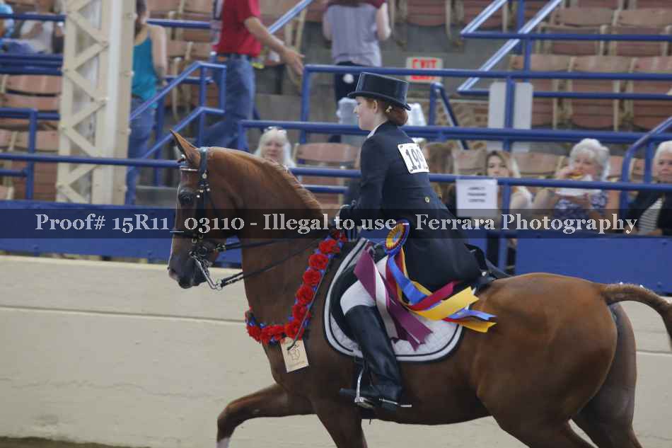 Proof 15R11_03110