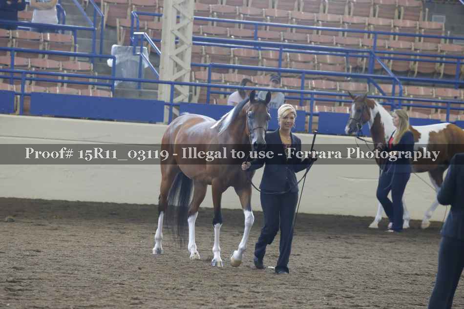 Proof 15R11_03119
