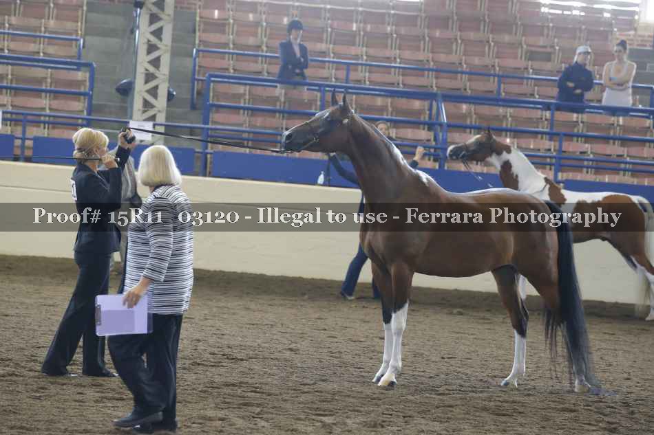 Proof 15R11_03120