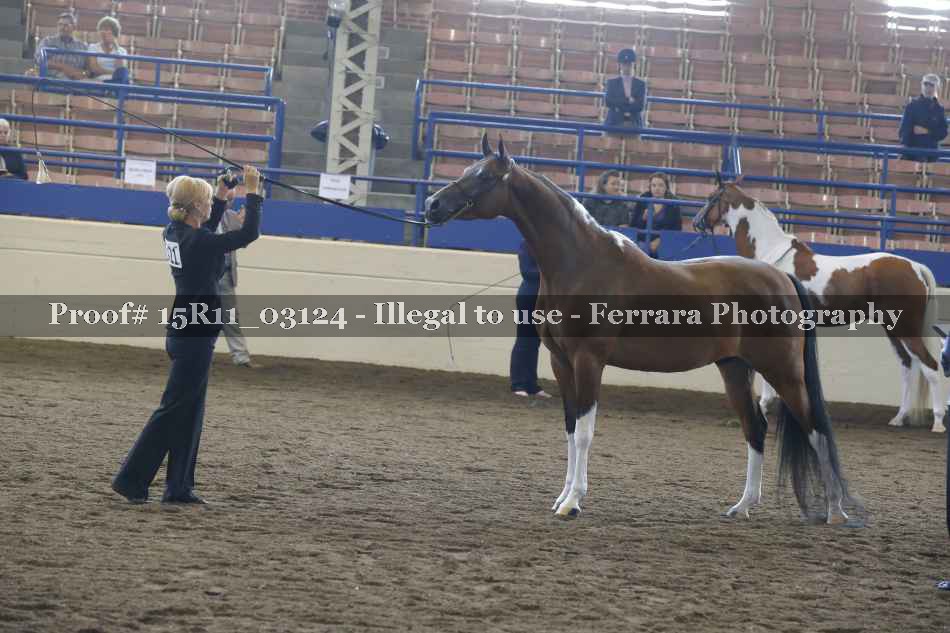 Proof 15R11_03124