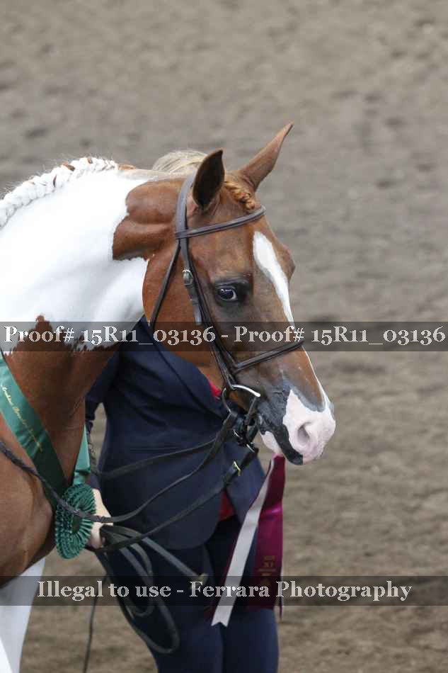 Proof 15R11_03136
