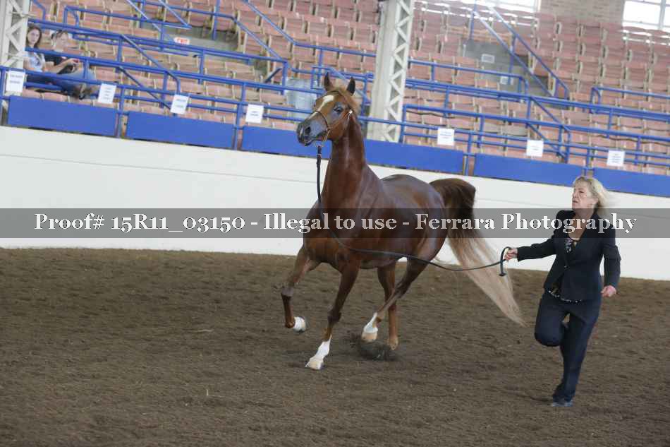 Proof 15R11_03150