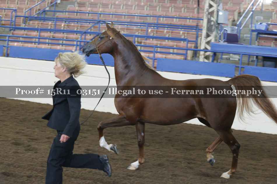 Proof 15R11_03151