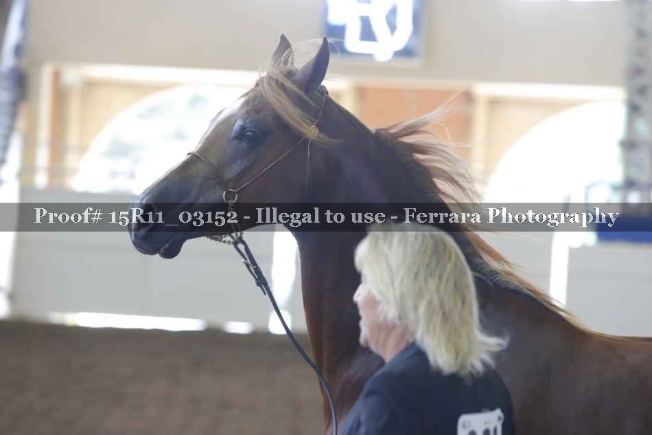 Proof 15R11_03152