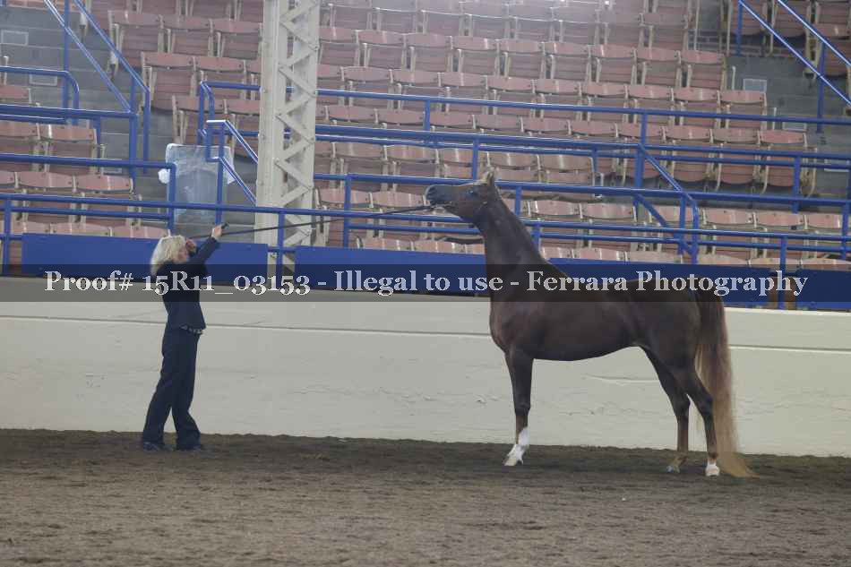 Proof 15R11_03153