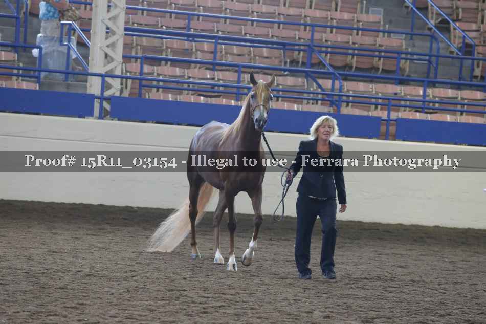 Proof 15R11_03154