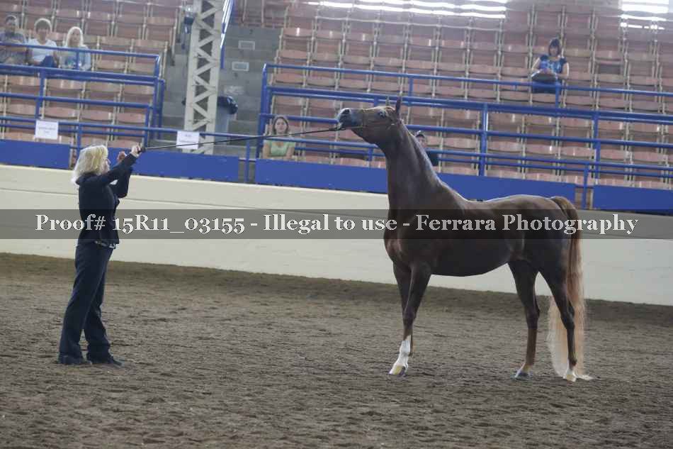 Proof 15R11_03155