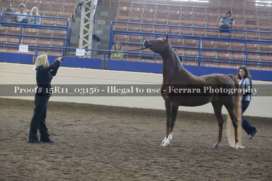 Proof 15R11_03156