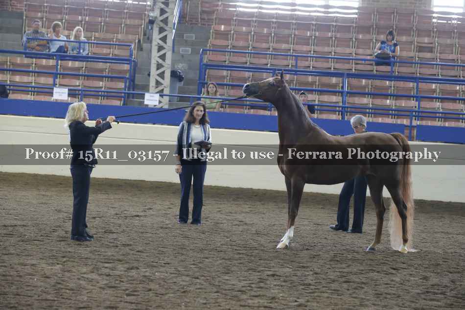 Proof 15R11_03157