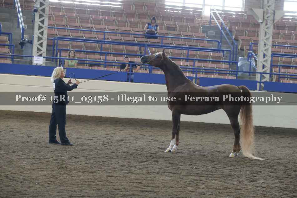 Proof 15R11_03158