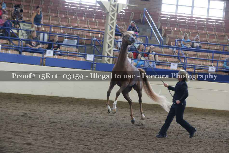 Proof 15R11_03159