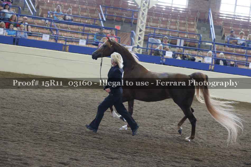 Proof 15R11_03160