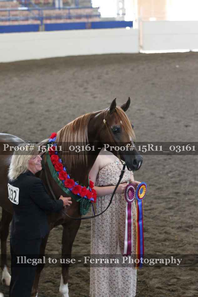 Proof 15R11_03161