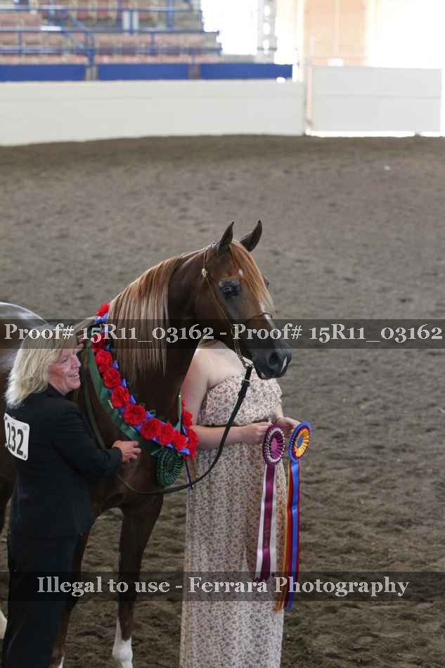 Proof 15R11_03162