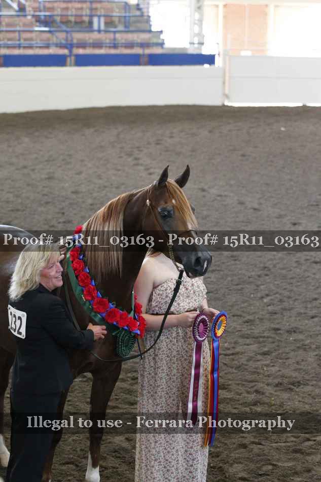 Proof 15R11_03163