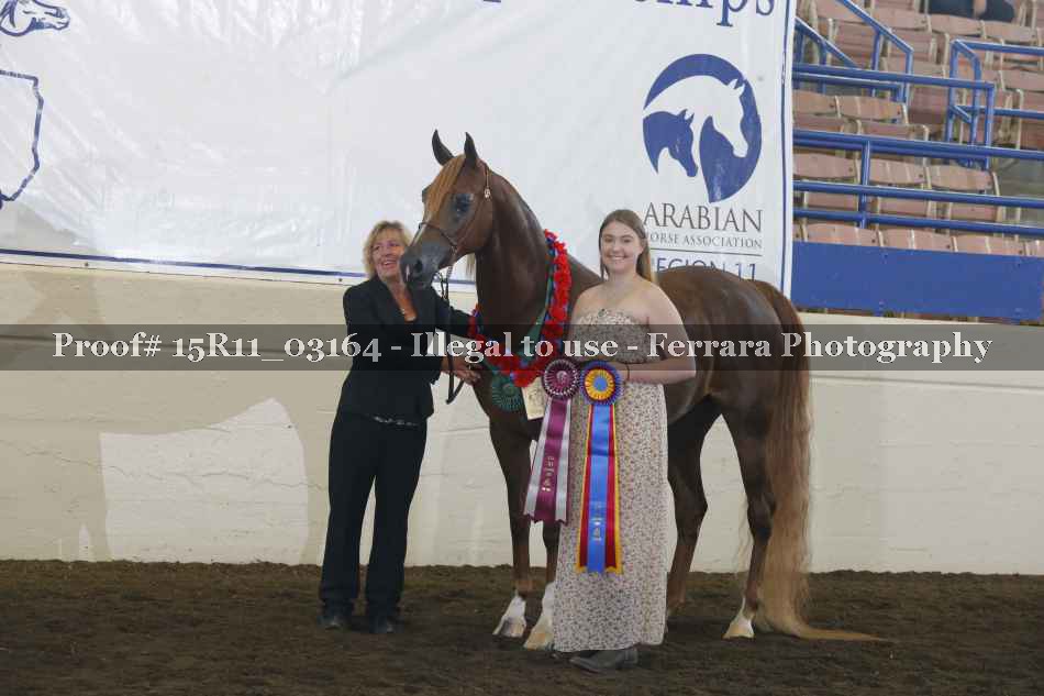 Proof 15R11_03164