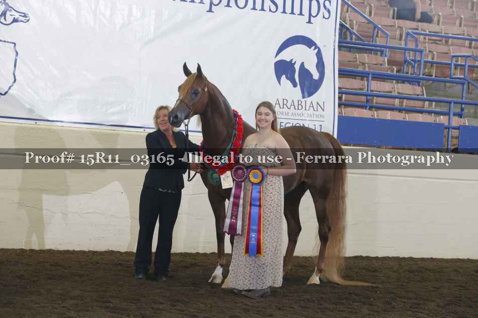 Proof 15R11_03165