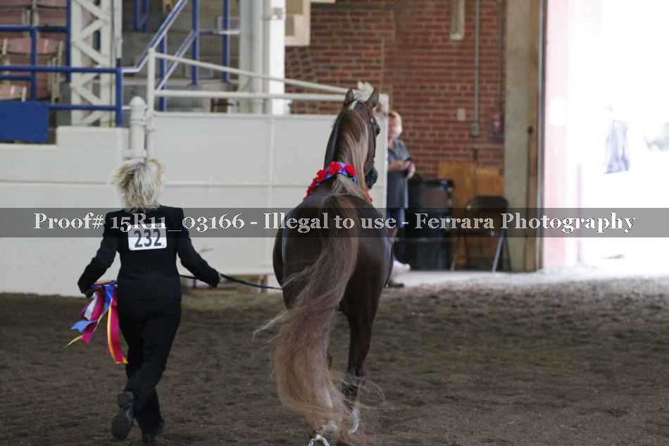 Proof 15R11_03166