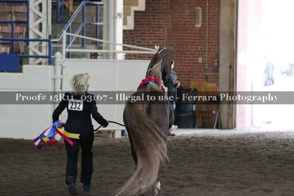 Proof 15R11_03167