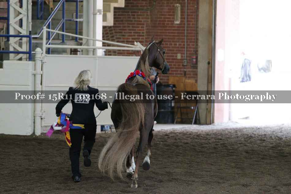 Proof 15R11_03168