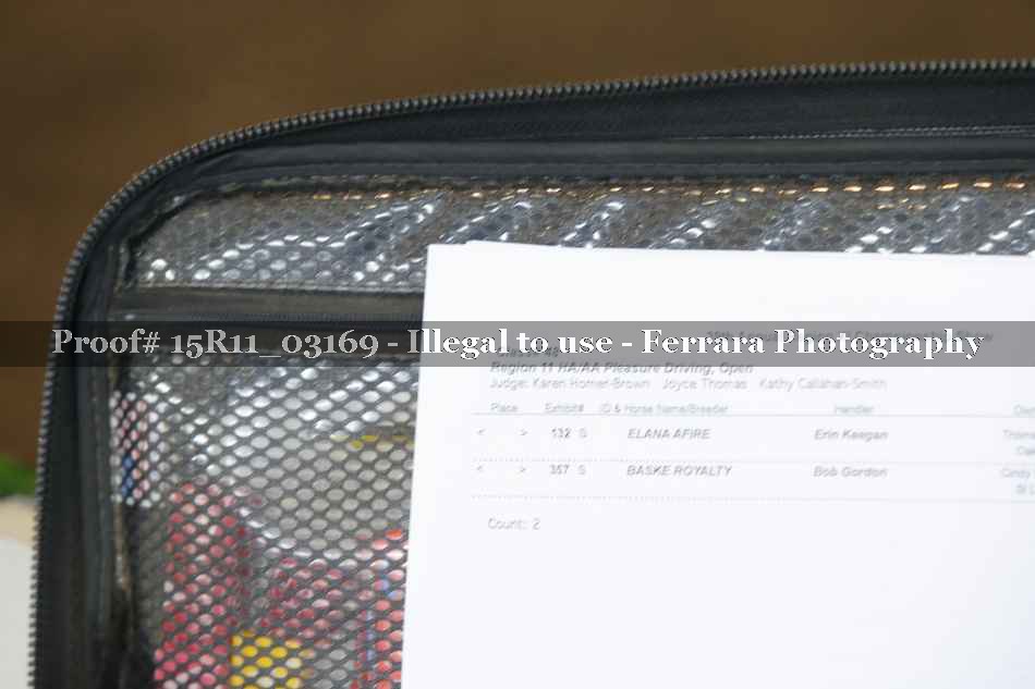 Proof 15R11_03169