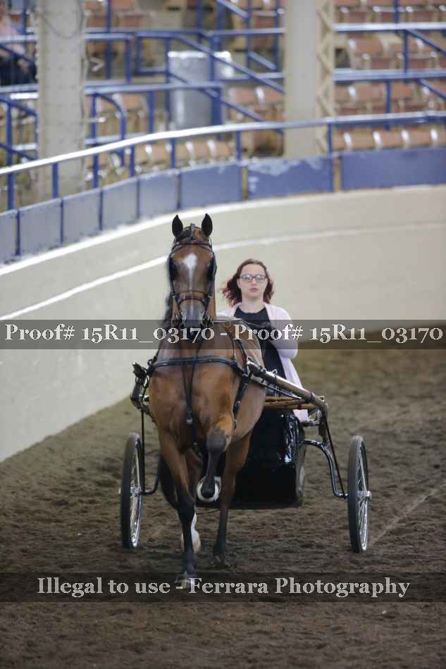 Proof 15R11_03170