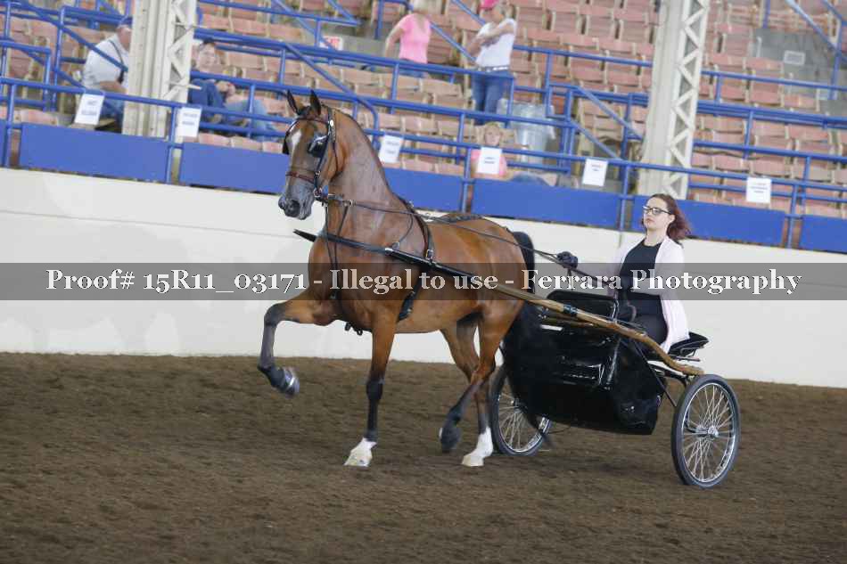 Proof 15R11_03171