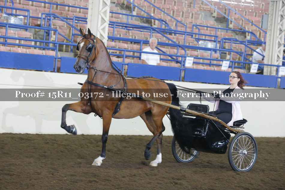 Proof 15R11_03172