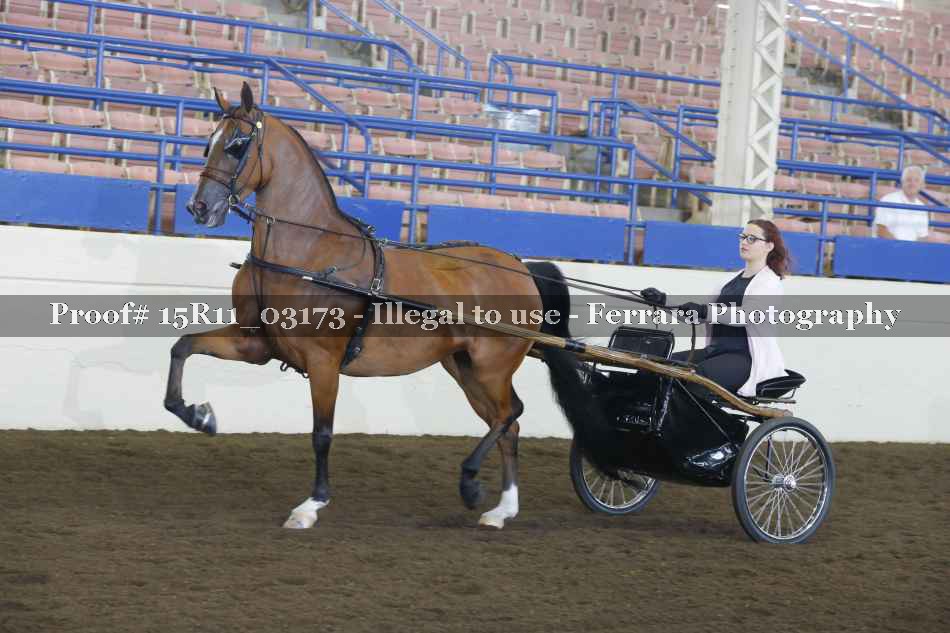Proof 15R11_03173