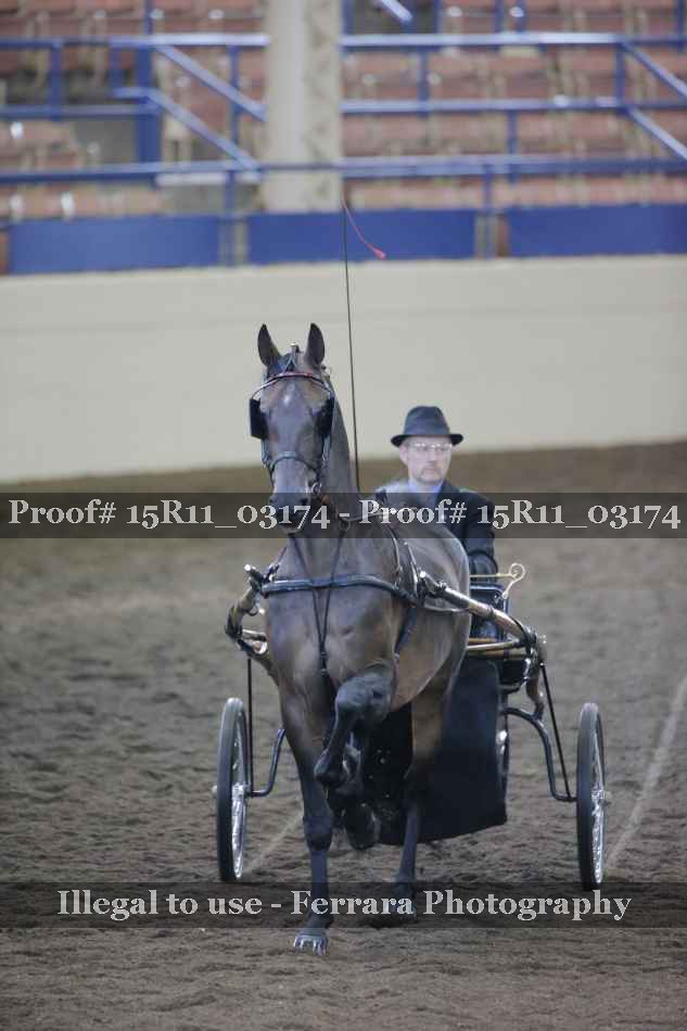 Proof 15R11_03174