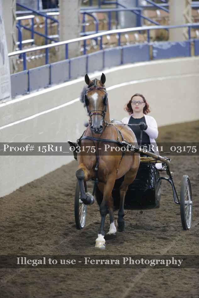 Proof 15R11_03175